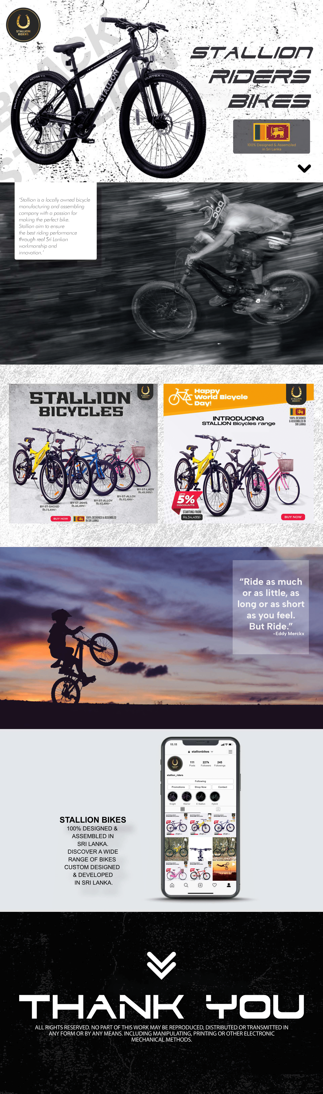 Stallion - Image 1